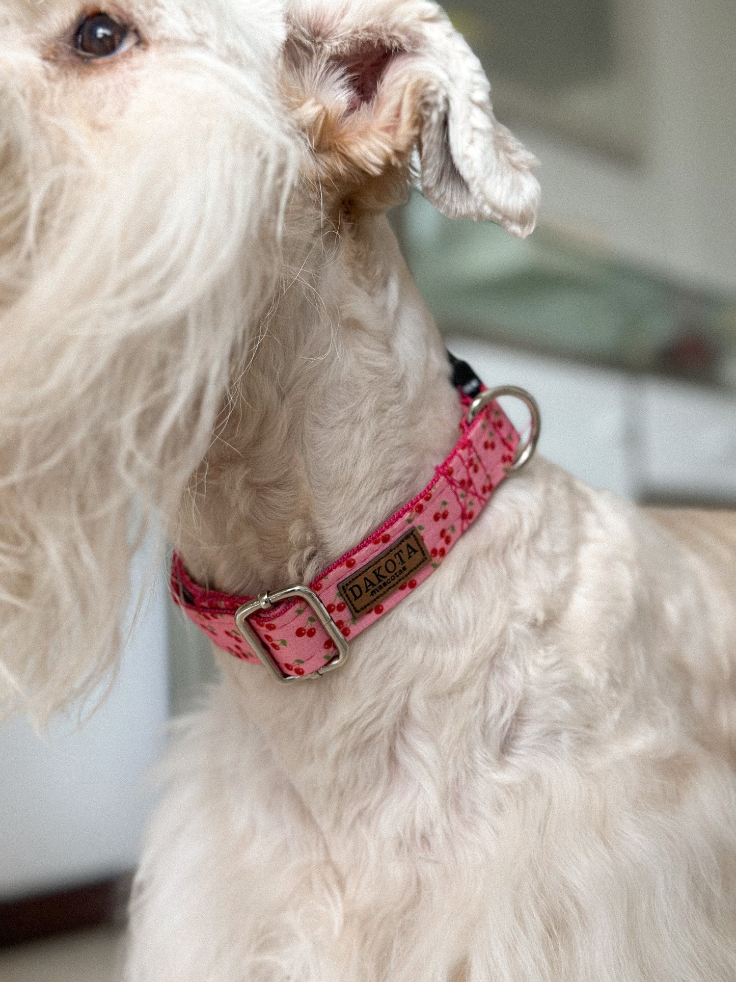 Collar Cerezas