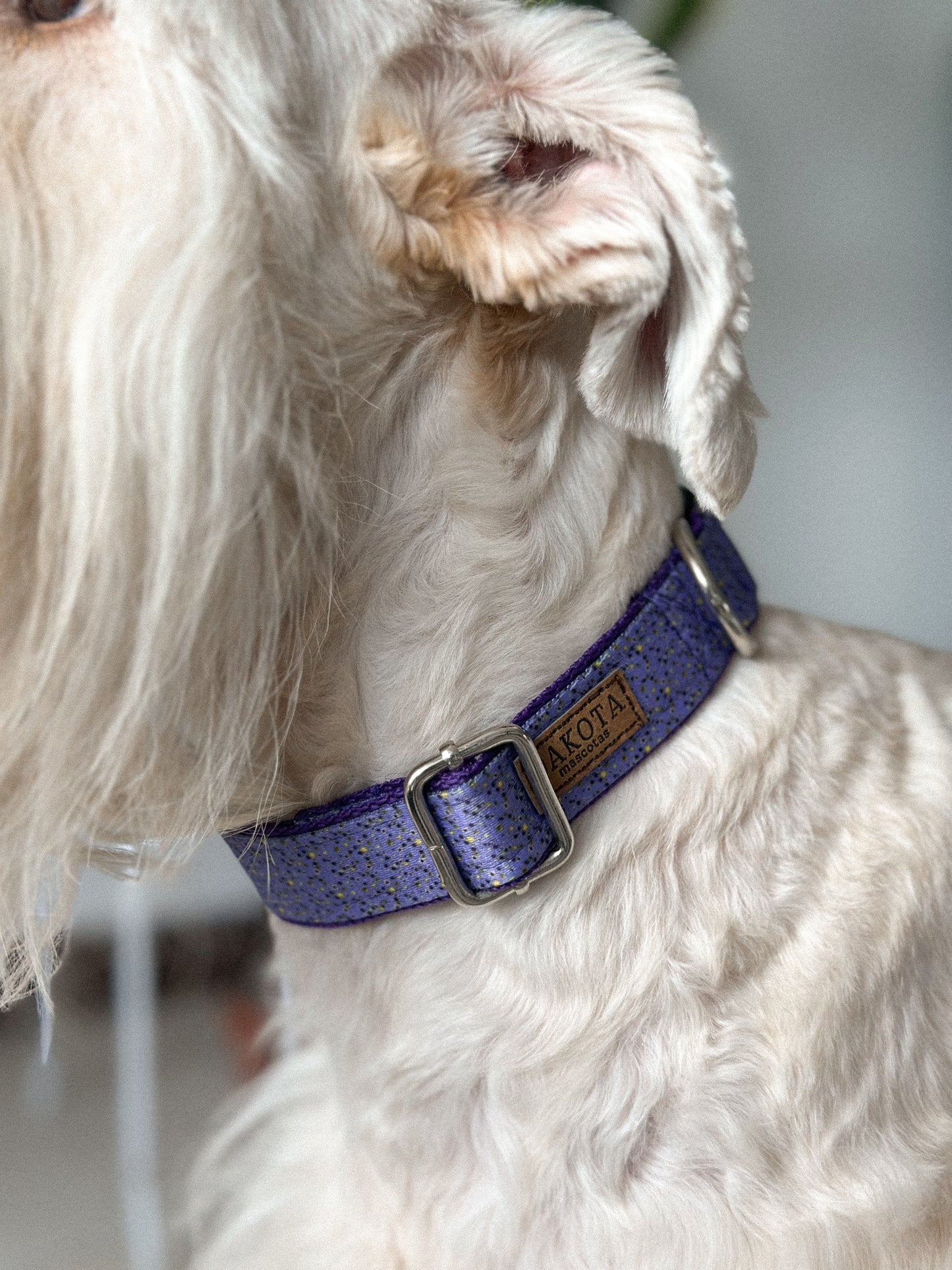 Collar Shine