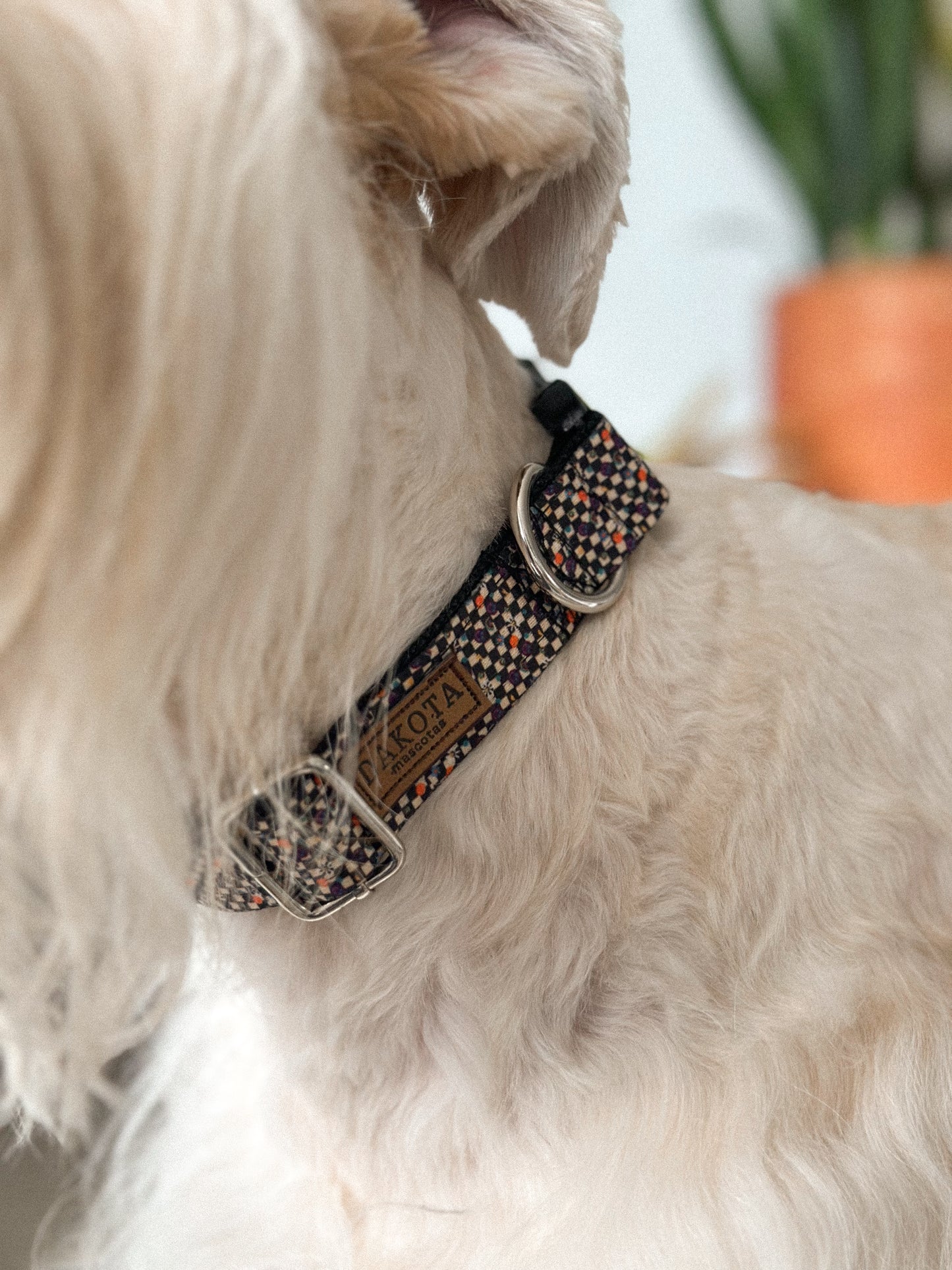 Collar Retro