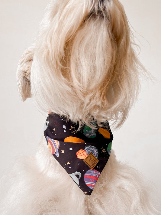 Bandana Cosmos
