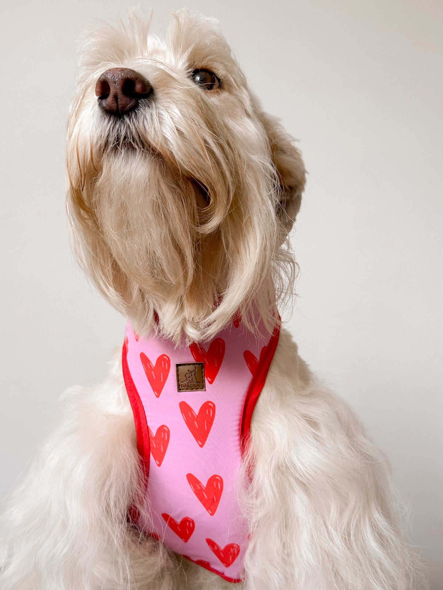 Pechera Corazones