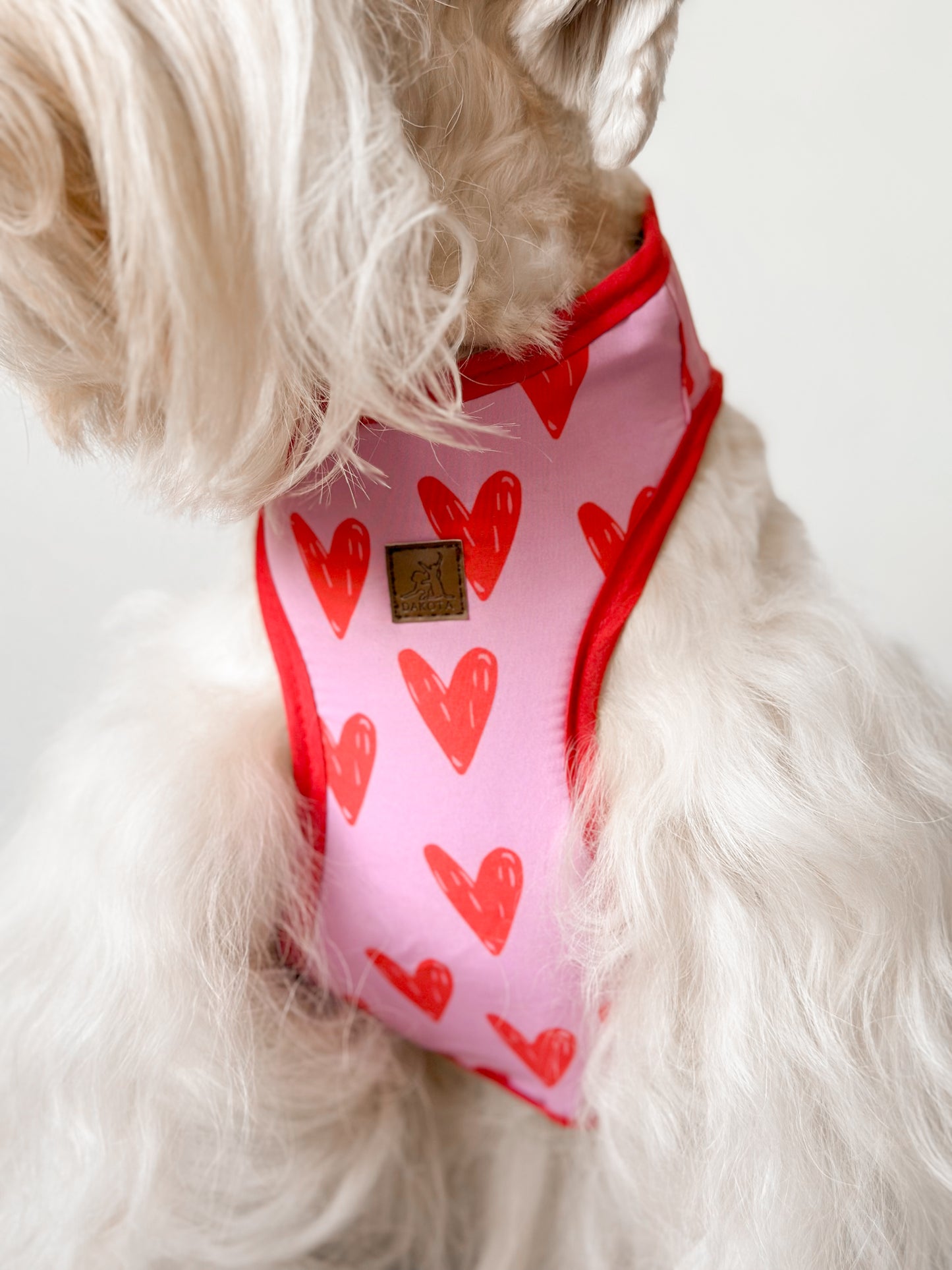 Pechera Corazones