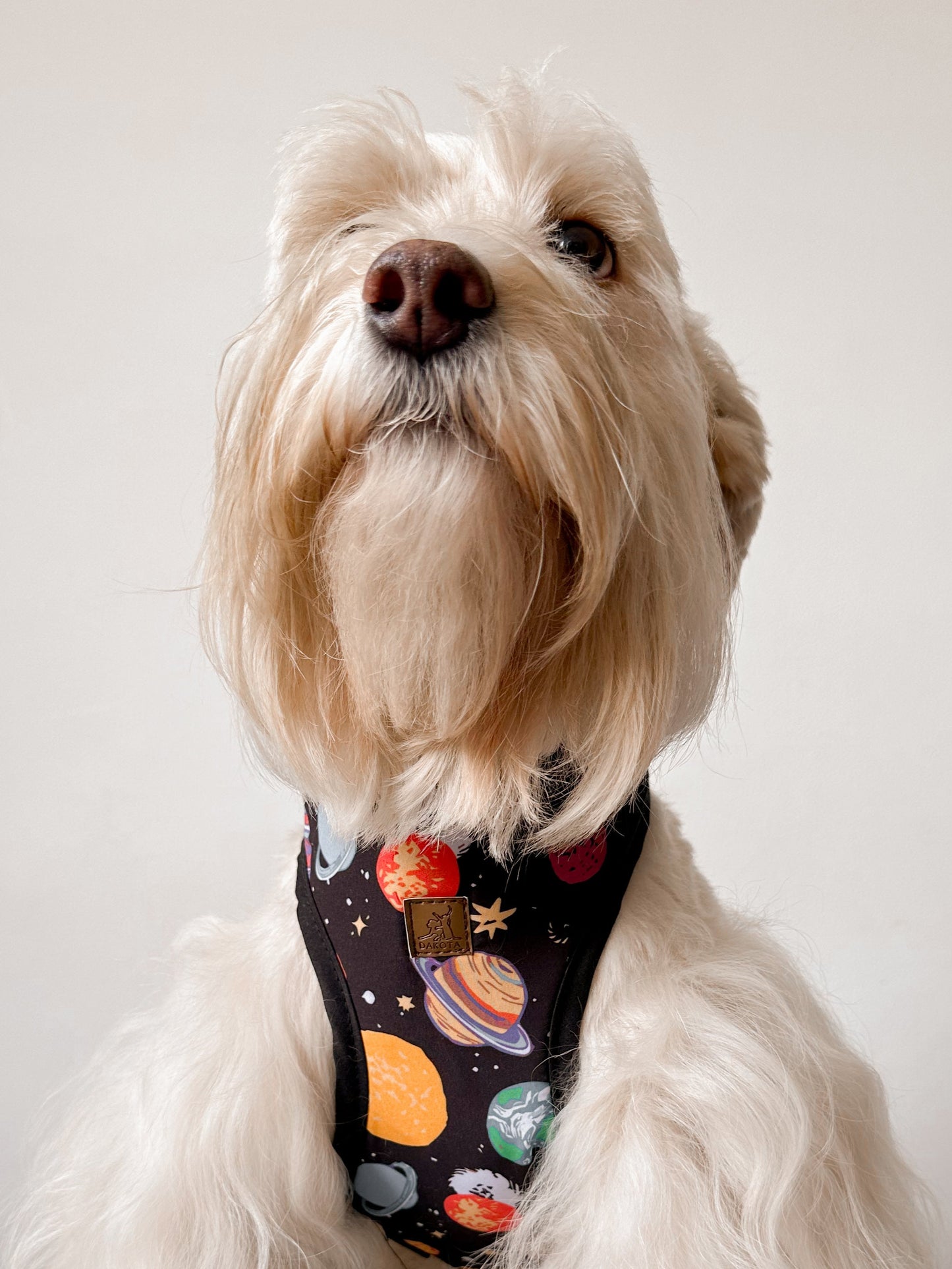 Pechera para perro de cosmos