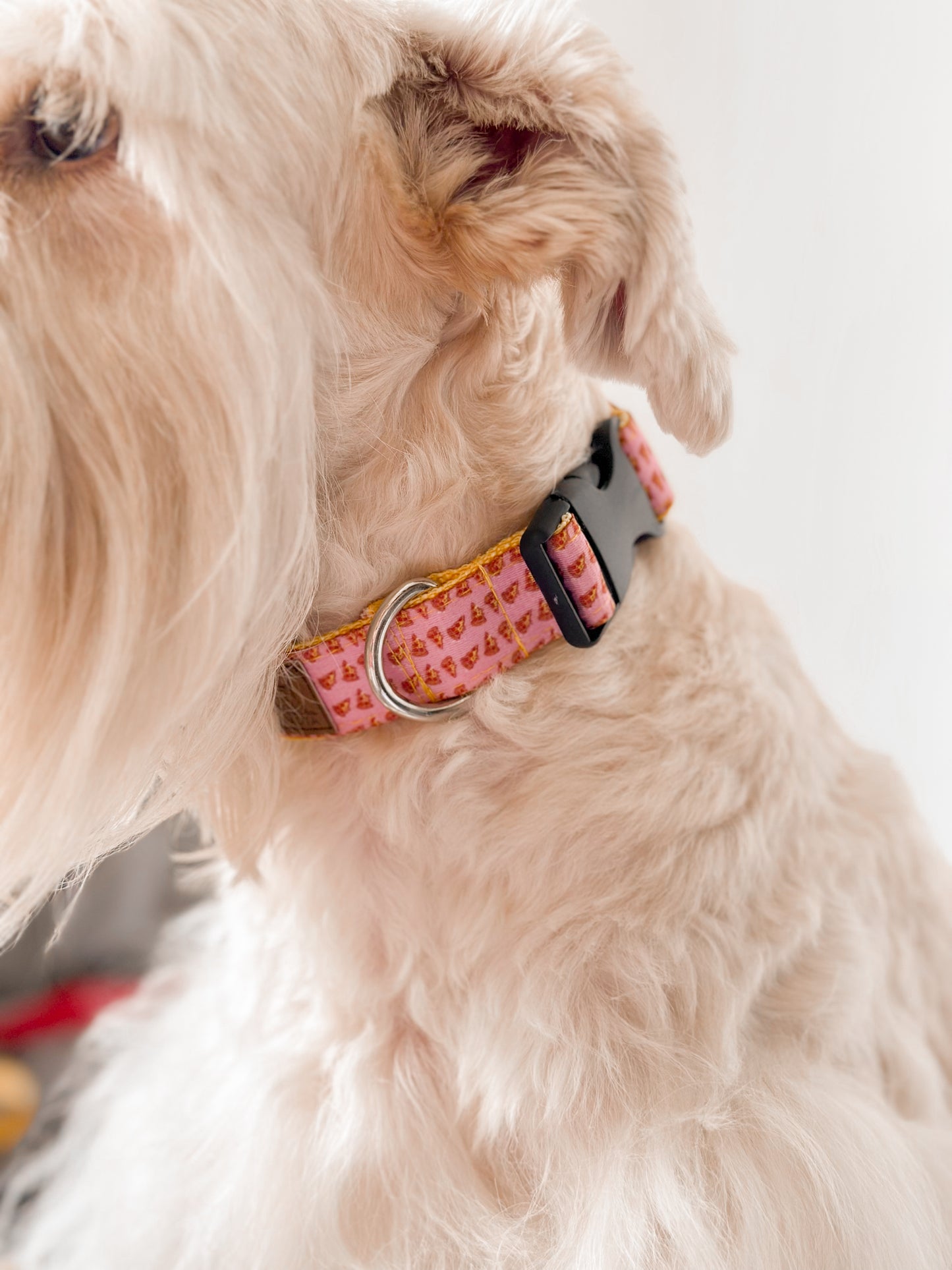 Collar Pizzas