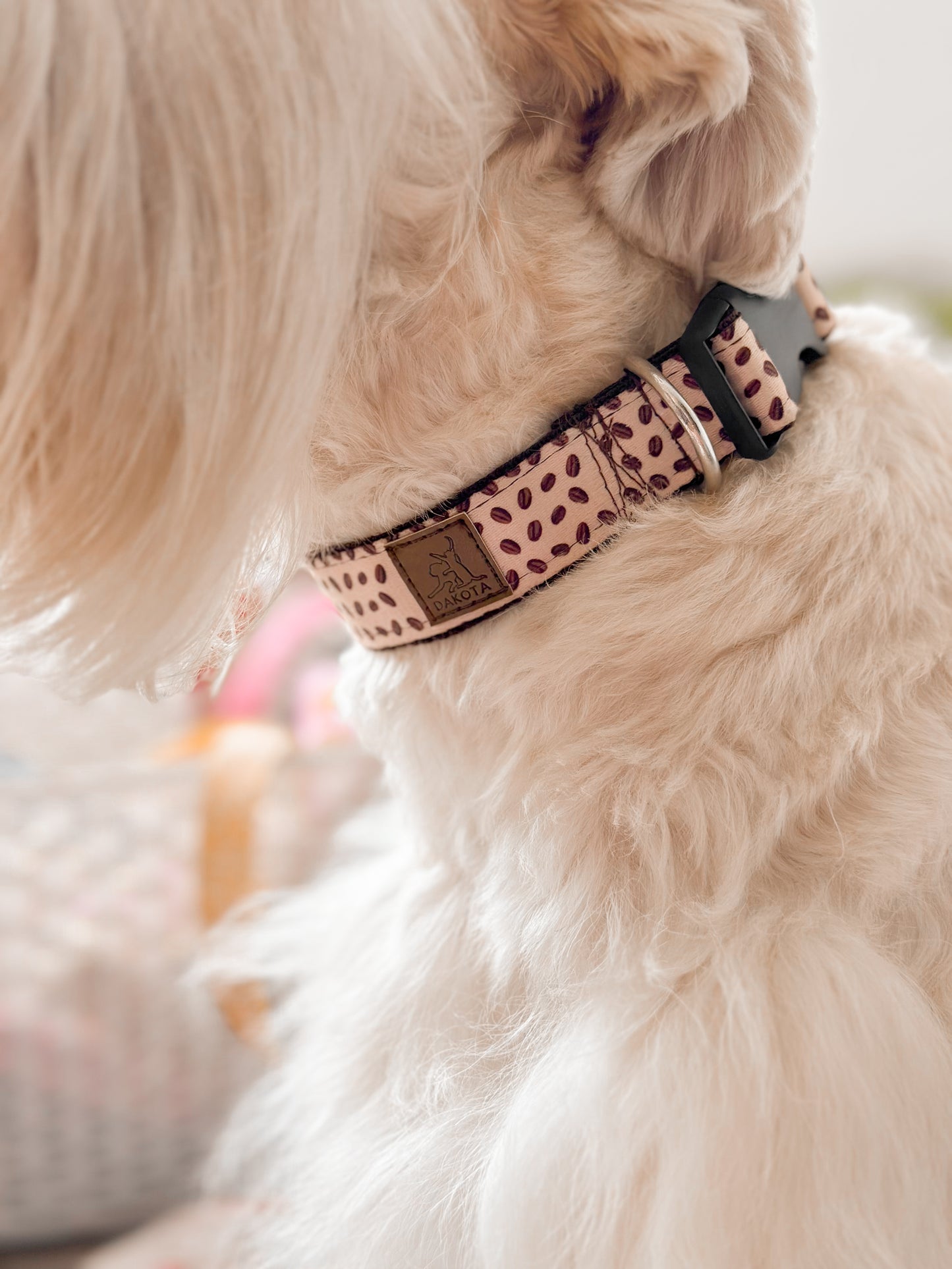 Collar Café