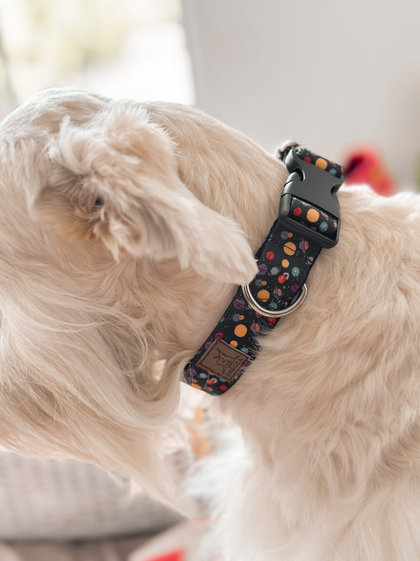 Collar Cosmos