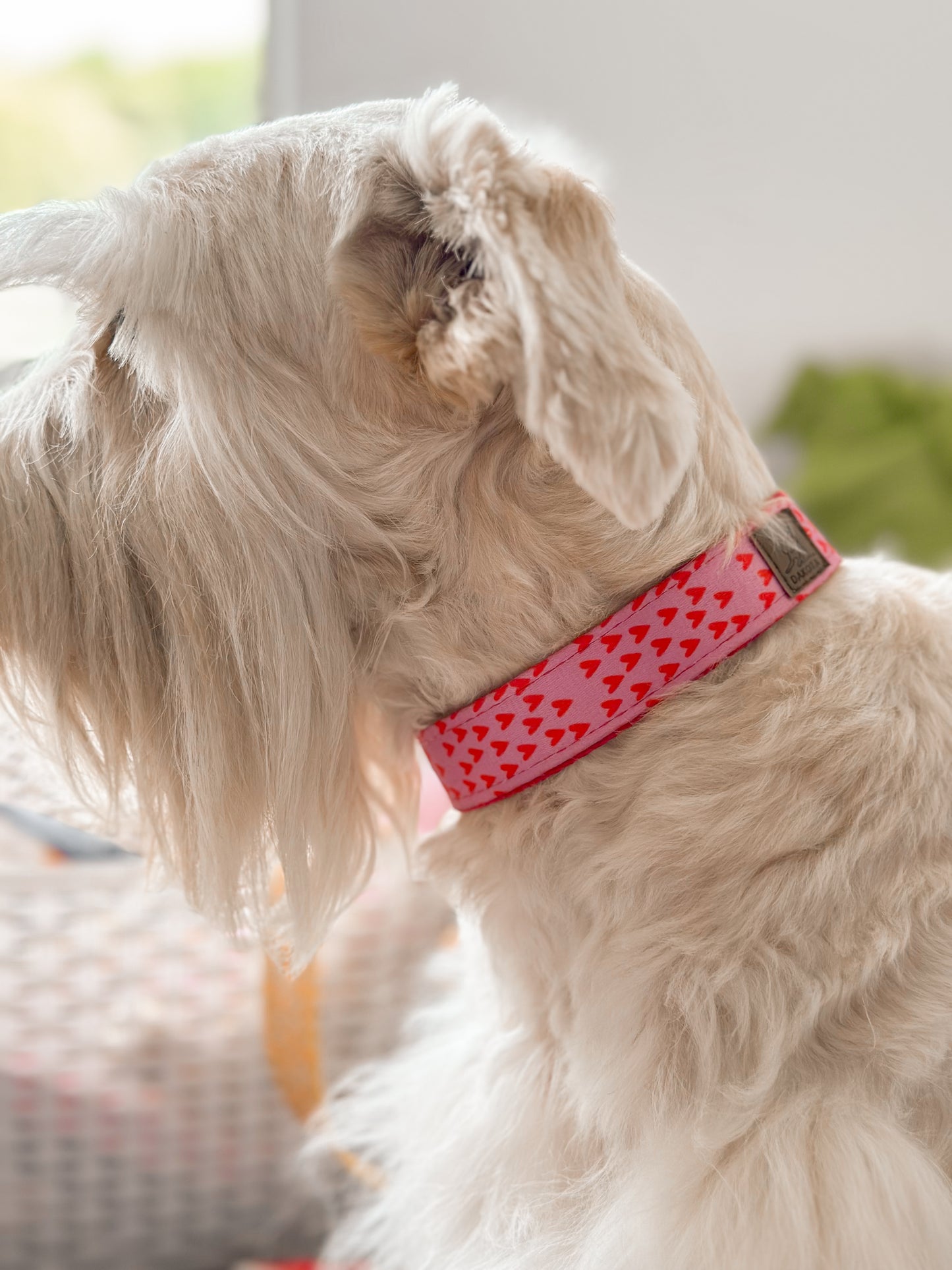 Collar Corazones