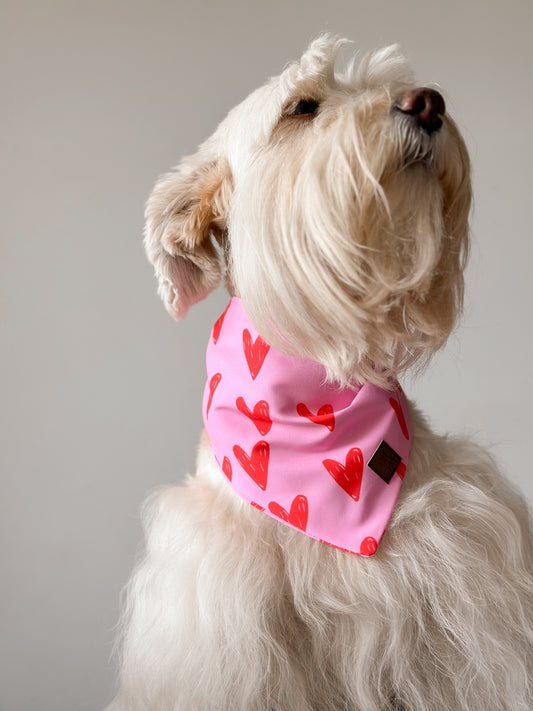 Bandana Corazones