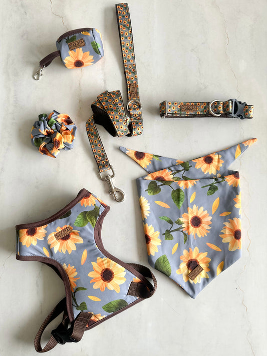 Combo Girasoles