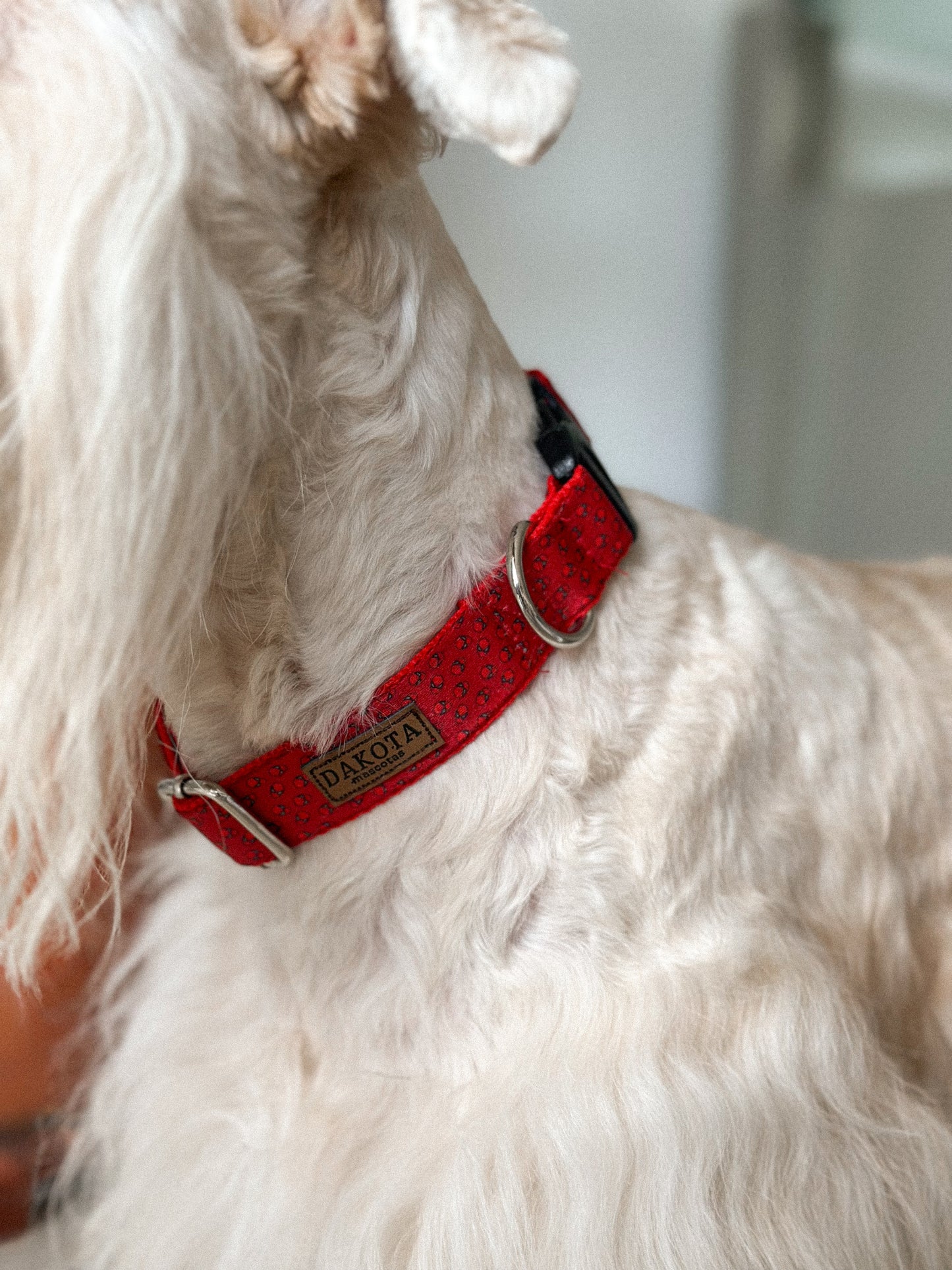 Collar Spiderman