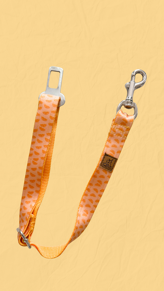 Cinturón para carro - Naranja