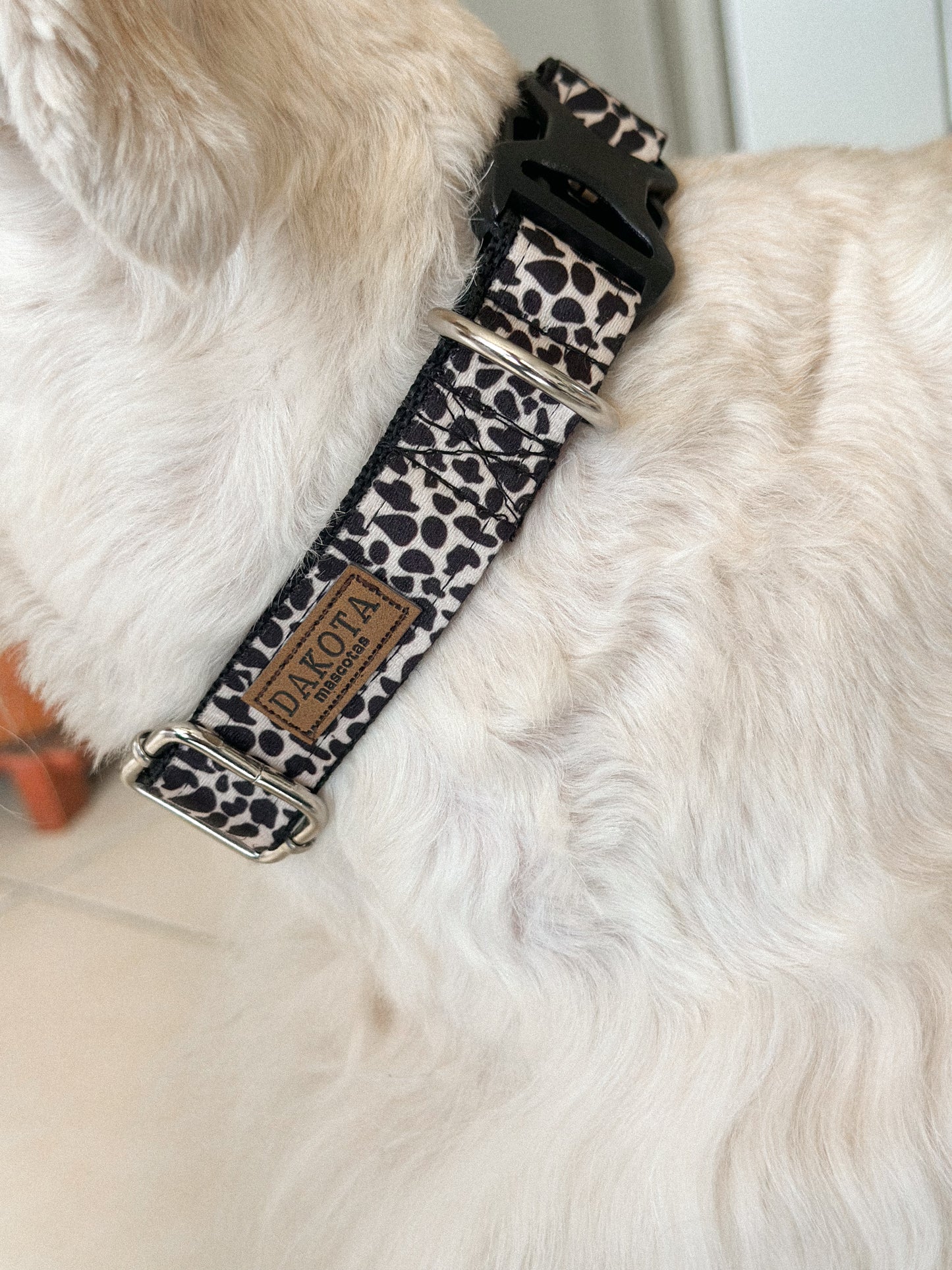 Collar Wild